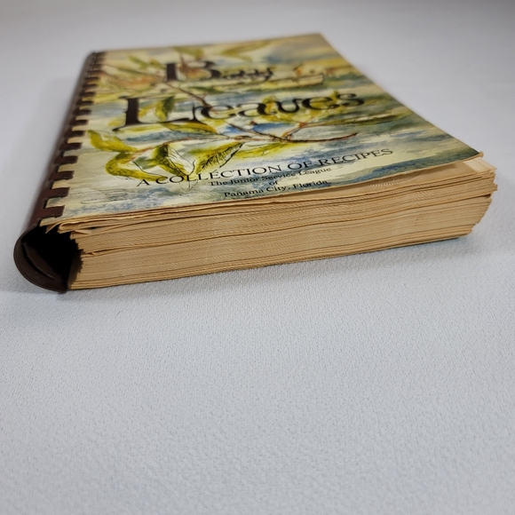 Bay Leaves A Collection Of Recipes - Junior Service League Panama City Florida - Picture 10 of 16